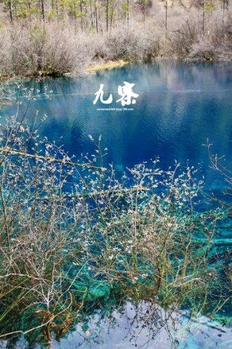 专注58问答交流,尽在若未来的某一天,人类彻底终结劳动,将会发生那些有趣现象?平台