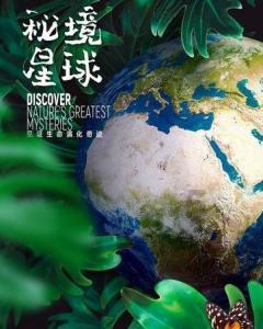 可以很猛，可以很萌，在上海，438条意想不到的龙，让传统文化“生龙活虎”