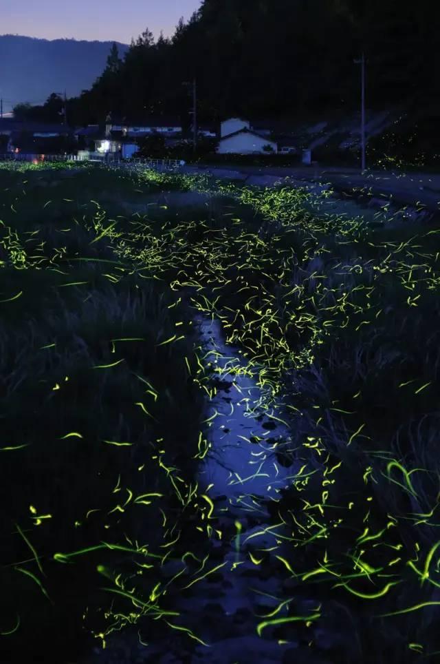 数码宝贝究极对决