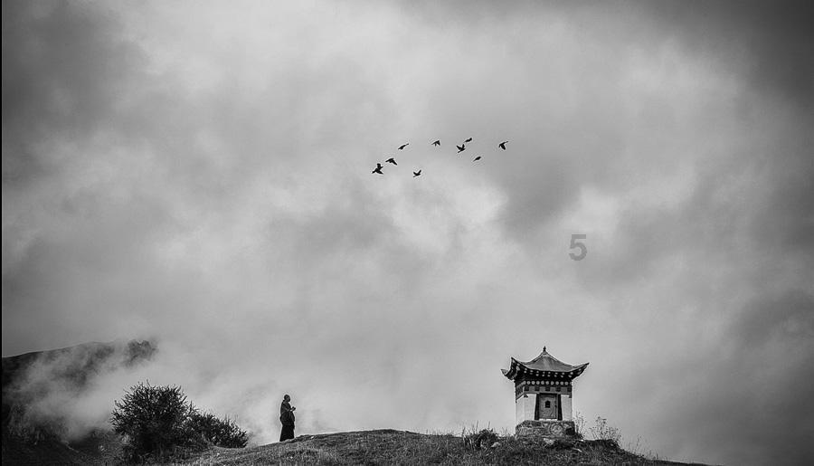 善意文明，“执”为乡村振兴