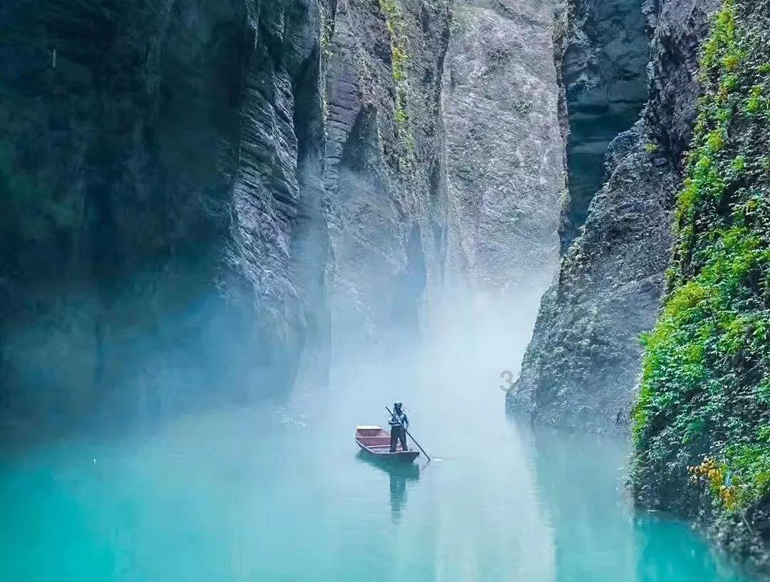 莎力菲丨斑点的三个类型你知道吗？