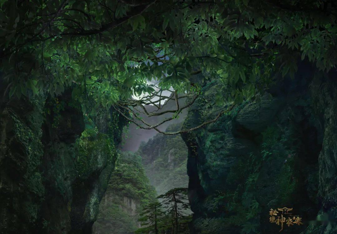 美丽中国厦门实践 | “海上大熊猫”中华白海豚逐浪嬉戏厦门湾（人民网）