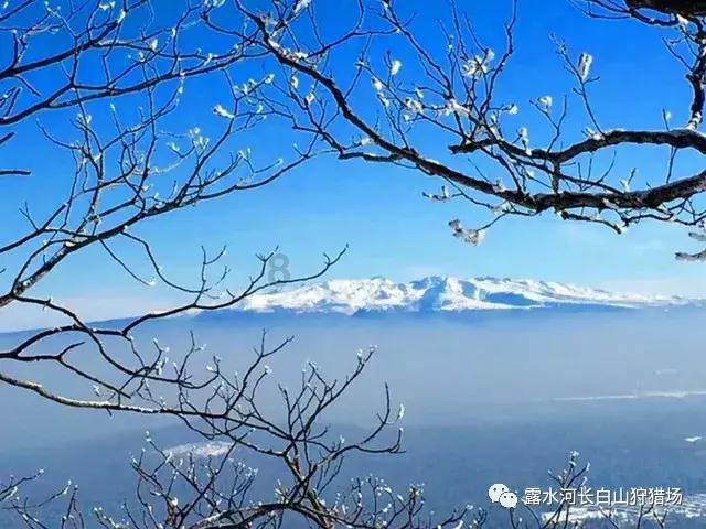 药明康德:密切关注草案立法程序进展,业务发展不会对任何国...