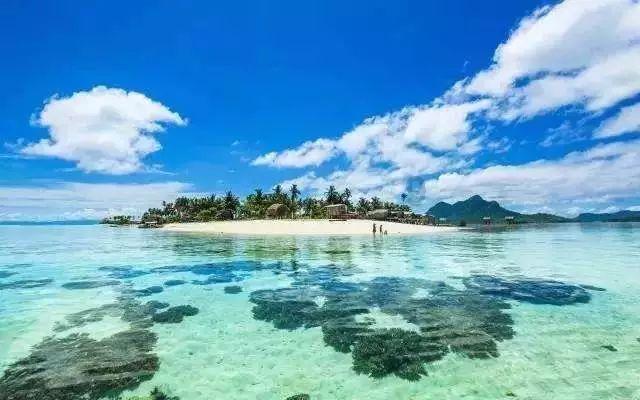 解答疑惑 立即关注如何代替家人申领电子社保卡?交流平台!
