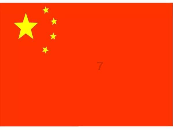 潜水与核心力量:水下运动如何强化核心肌群,提升稳定性?