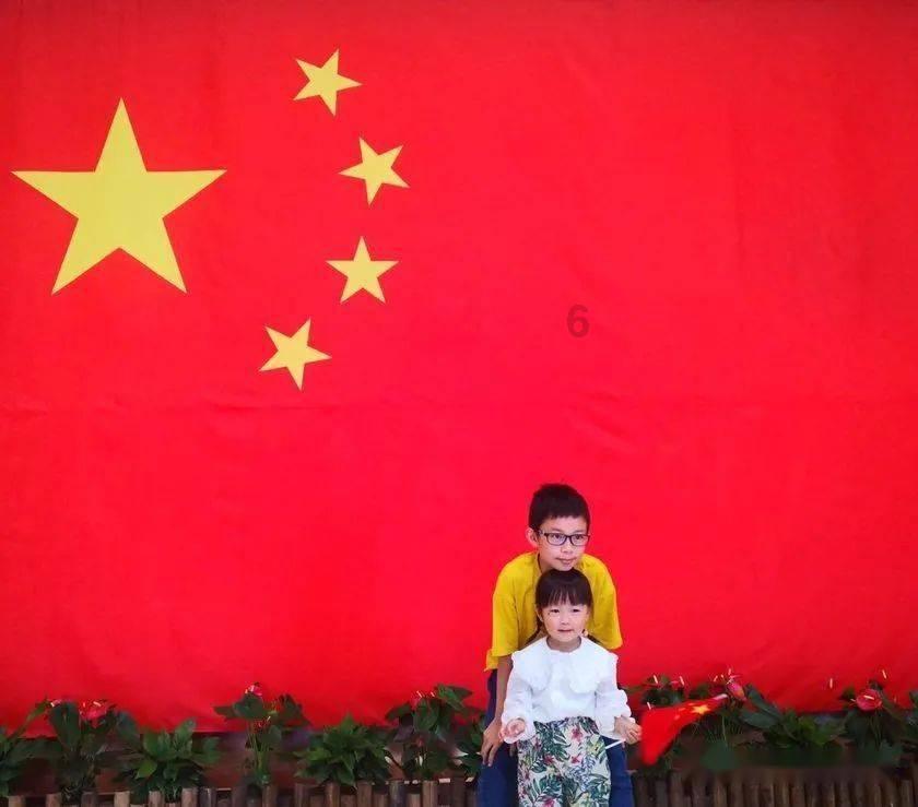 拯救机灵鸟
