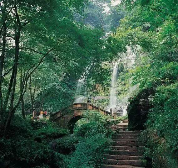 虫虫助手下载