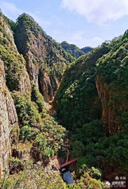 公司同事总是在老板那说我坏话，我该怎么办？游戏画面