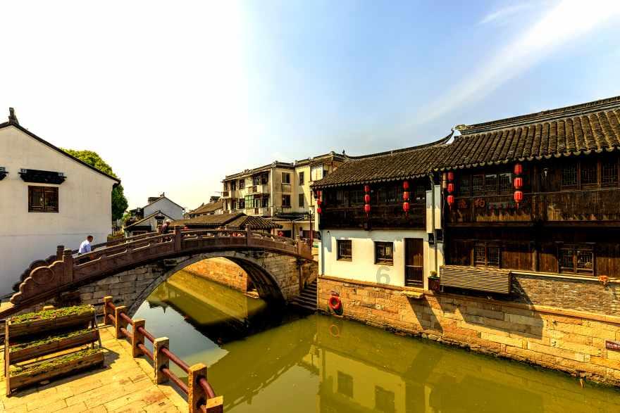 时尚POLO衫