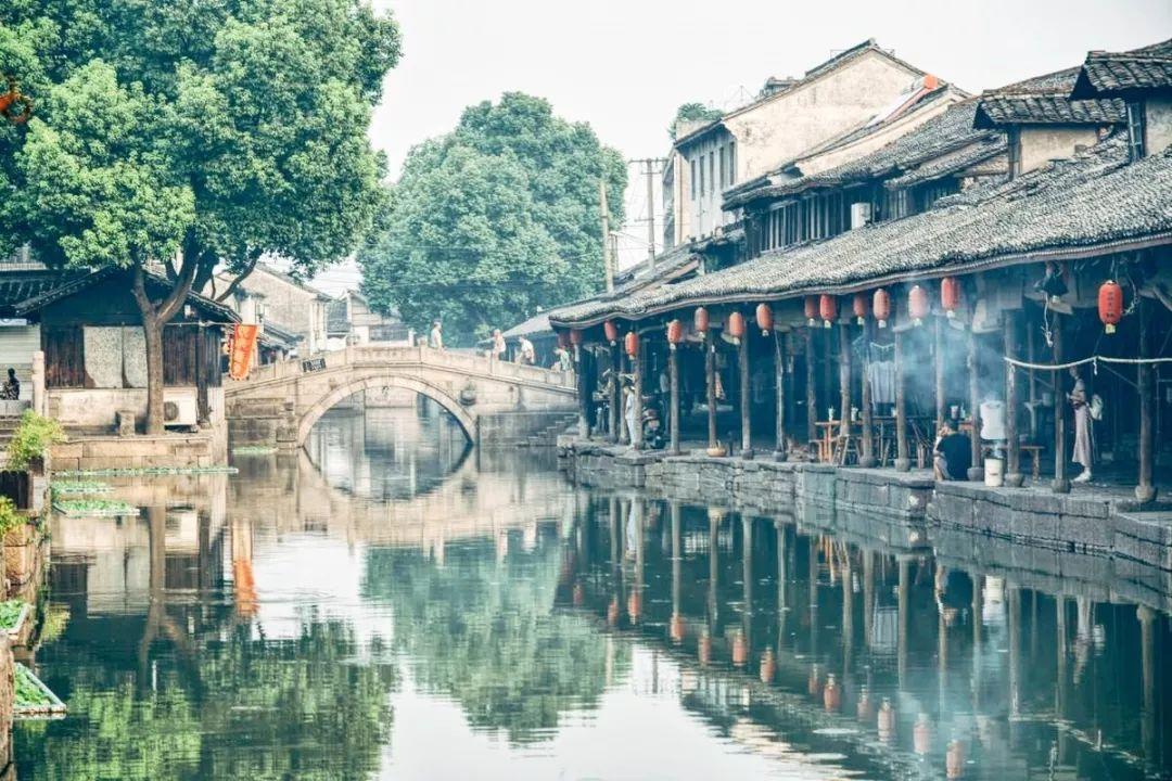 春雨直播app
