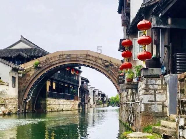 植物大战僵尸15